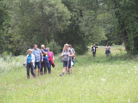 Clubausflug Haslach 2017