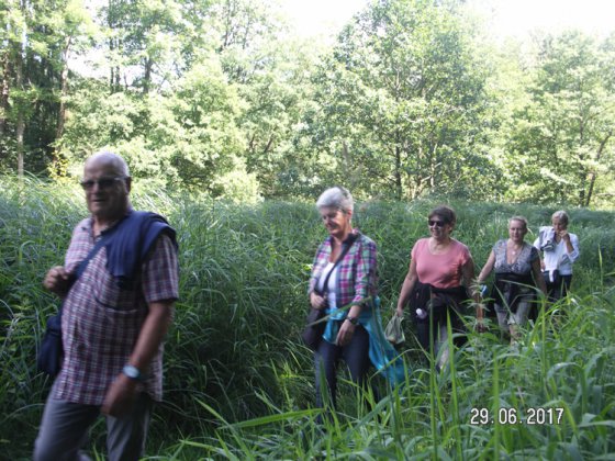 Clubausflug Haslach 2017