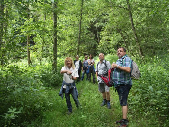 Clubausflug Haslach 2017