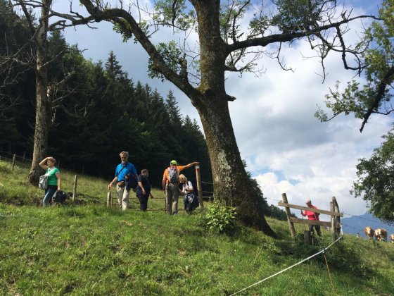 Der Landessieger Preis von der „Sympathicus Wahl 2017“  Zeitung TIPS  -  ein Clubausflug nach Großraming !